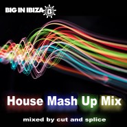 1245WBII_house-mash-up-mix