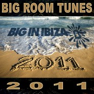 1366WBII-big-room-tunes-2011