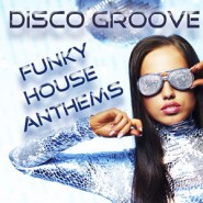DISCO-GROOVE DISCO-GROOVE